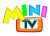 Mini TV