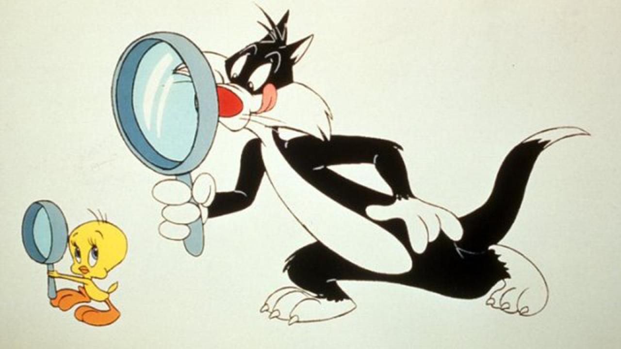 Sylvester i Tweety (3)